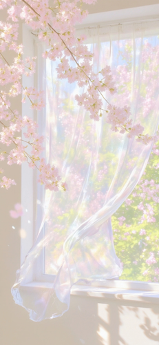 28E16A85C2E558BF9E9A6202577DF5B2.png