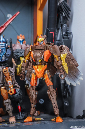 Transformers Beast Wars Maximal Collection 7 Pack In Hand Images 04