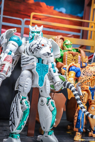 Transformers Beast Wars Maximal Collection 7 Pack In Hand Images 03