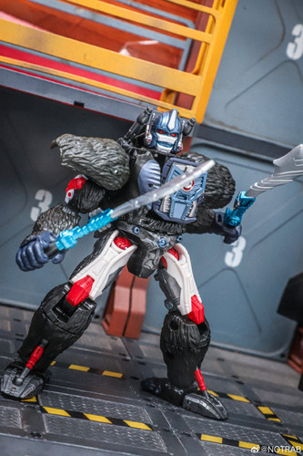 Transformers Beast Wars Maximal Collection 7 Pack In Hand Images 08