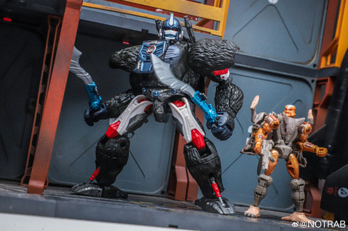Transformers Beast Wars Maximal Collection 7 Pack In Hand Images 11