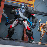 Transformers Beast Wars Maximal Collection 7 Pack In Hand Images 11