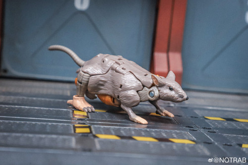 Transformers Beast Wars Maximal Collection 7 Pack In Hand Images 26