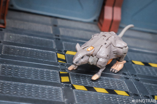 Transformers Beast Wars Maximal Collection 7 Pack In Hand Images 25