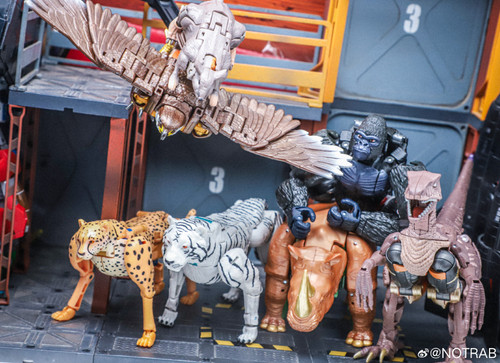 Transformers Beast Wars Maximal Collection 7 Pack In Hand Images 19