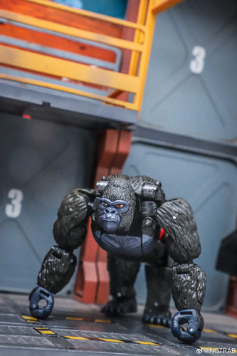 Transformers Beast Wars Maximal Collection 7 Pack In Hand Images 10