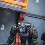 Transformers Beast Wars Maximal Collection 7 Pack In Hand Images 10