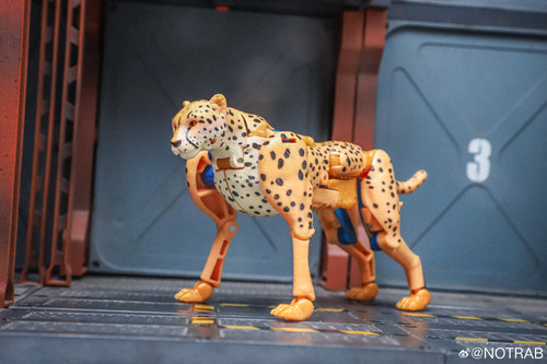 Transformers Beast Wars Maximal Collection 7 Pack In Hand Images 28