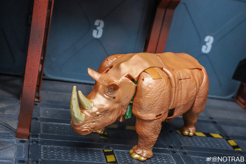 Transformers Beast Wars Maximal Collection 7 Pack In Hand Images 31