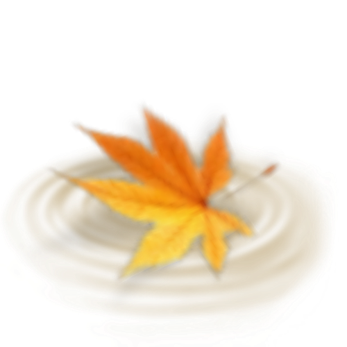 IMG 3161.png