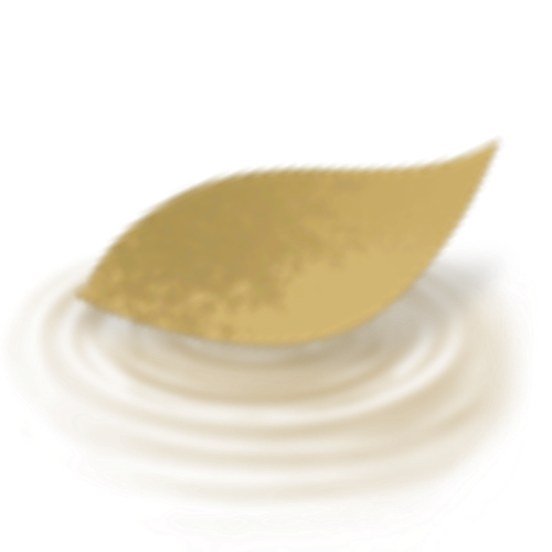 IMG 3159.png