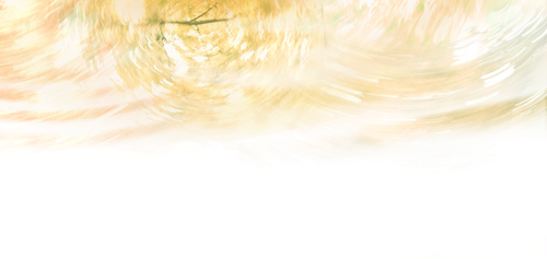 IMG 3158.png