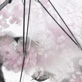 1000032942
