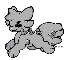 IMG 7529.png