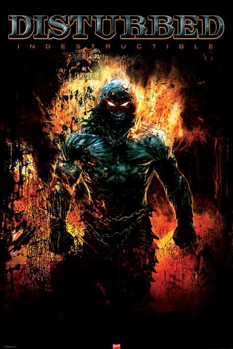 disturbed (7).jpg
