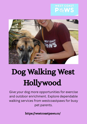 dog walking west hollywood.jpg
