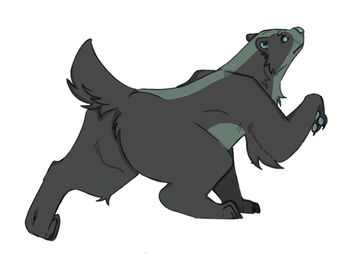 IMG 0013.png