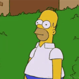 simpsons homer simpson.gif