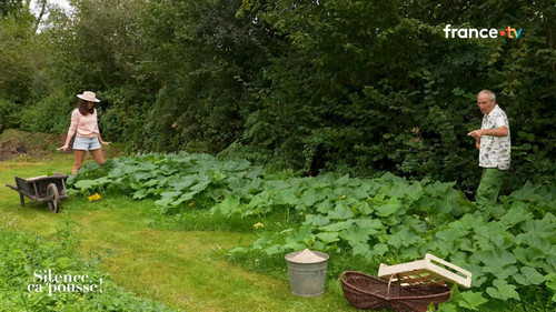 Silence, ça pousse ! (France 5) 2026 09 09 12 30 72.ts snapshot 00.39.30.529