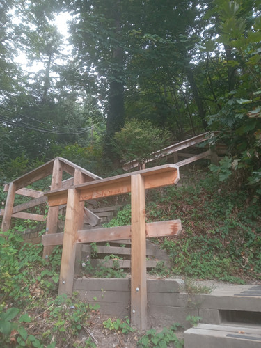 1000106228.jpg