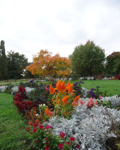 DSC08541 700.jpg
