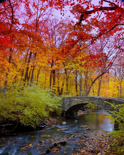 rainbow color change nature 115 700.jpg