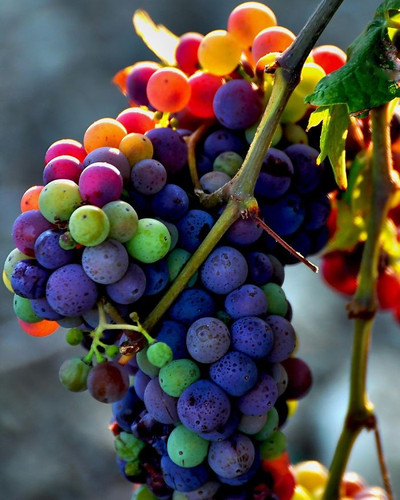 rainbow color change nature 2 700.jpg