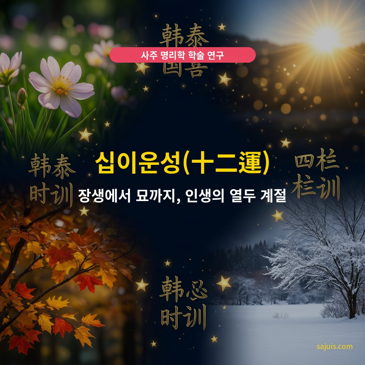 십이운성(十二運) — 장생에서 묘까지, 인생의 열두 계절