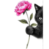 1000188784.png