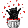 1000188781.png