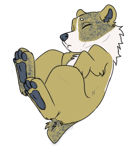 IMG 0018.png