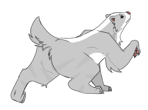 IMG 0019.png