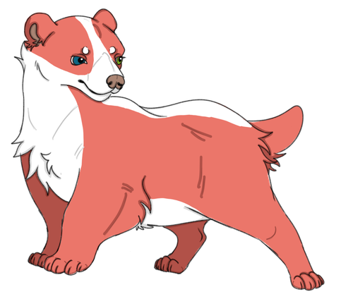 IMG 0020.png