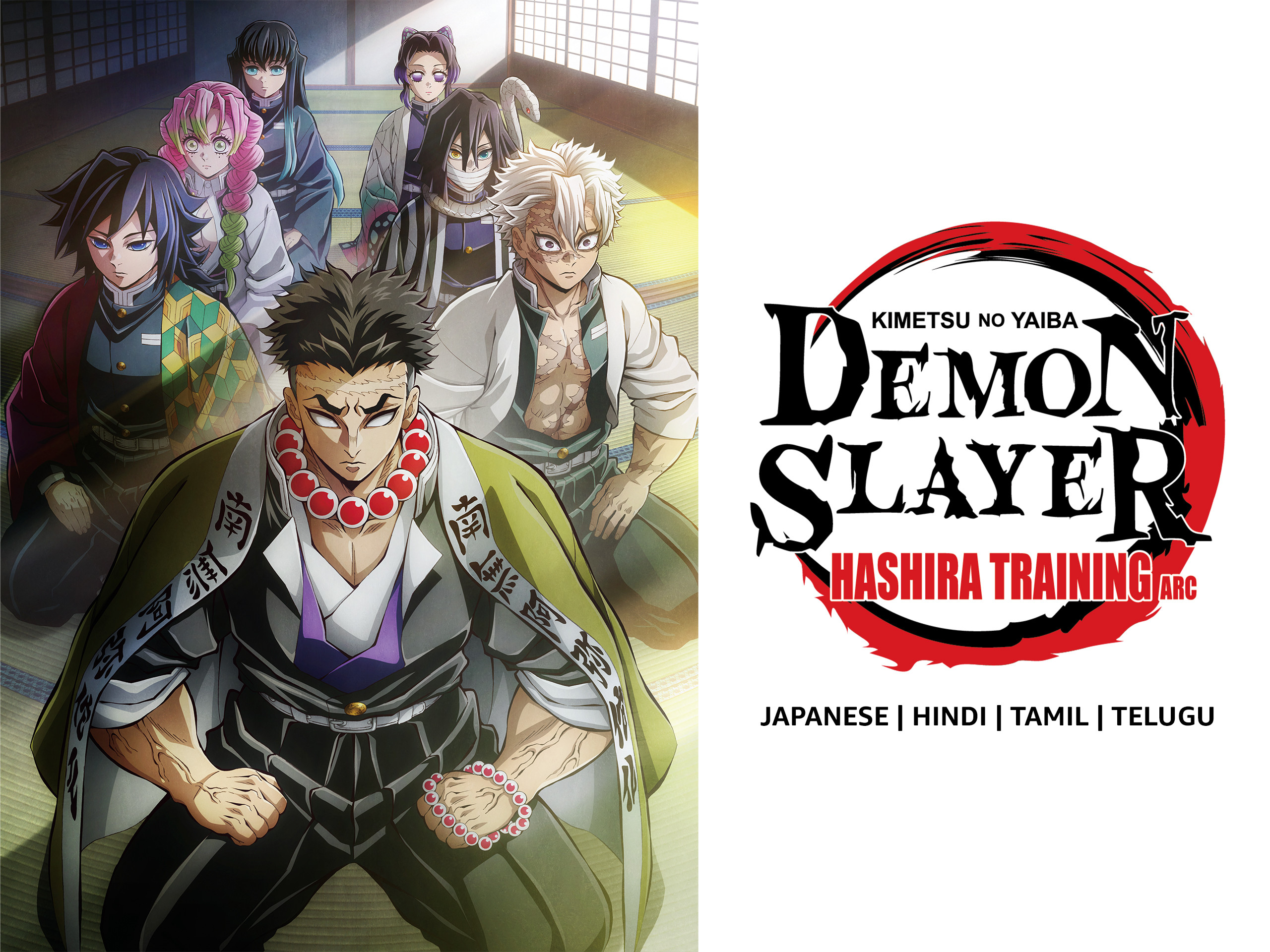 Demon Slayer (Season 4 : Hashira Training Arc) (Tamil+Telugu...