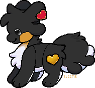 IMG 7491.png