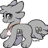 IMG 7495