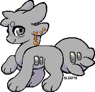 IMG 7497.png