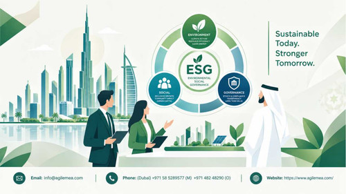 ESG and sustainability reporting.jpg