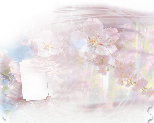 chunying dingbu.png