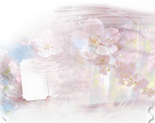 chunying dingbu.png
