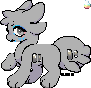 IMG 7515.png
