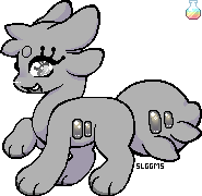 IMG 7517.png