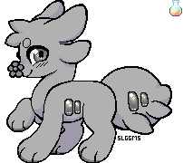 IMG 7504.png