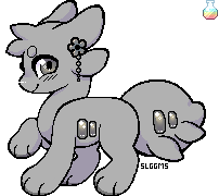 IMG 7507.png