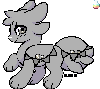 IMG 7508.png