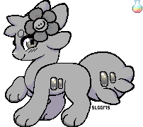 IMG 7506.png