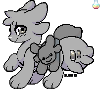IMG 7503.png