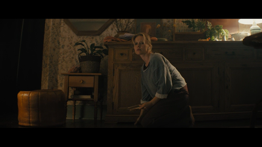 zvlcsnap 00002