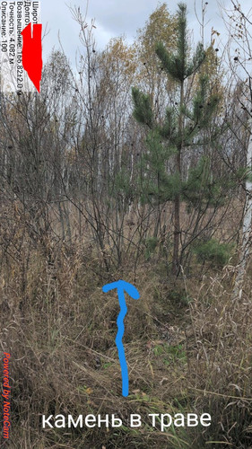 6ac7a8c5b693f.jpg