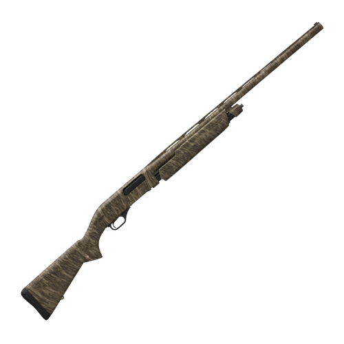 a70e37c95e1b.png